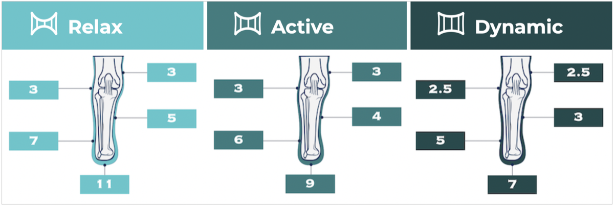 Default thickness profile diagram — ankle disarticulation