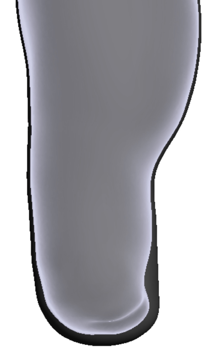 Sensitive Adductor &mdash; 3D Model