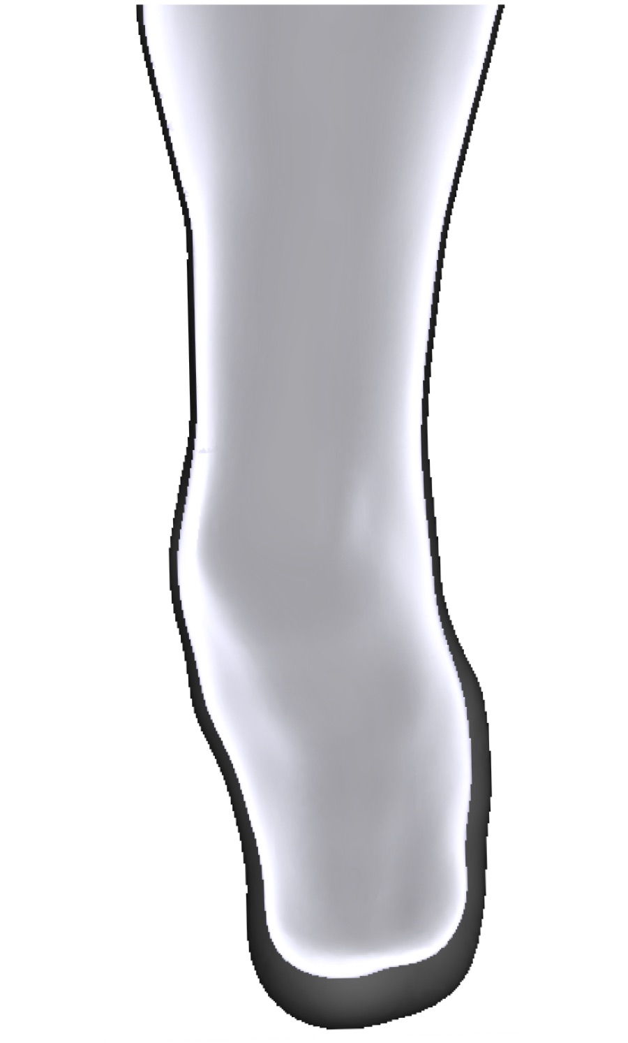 Bony &mdash; 3D Model