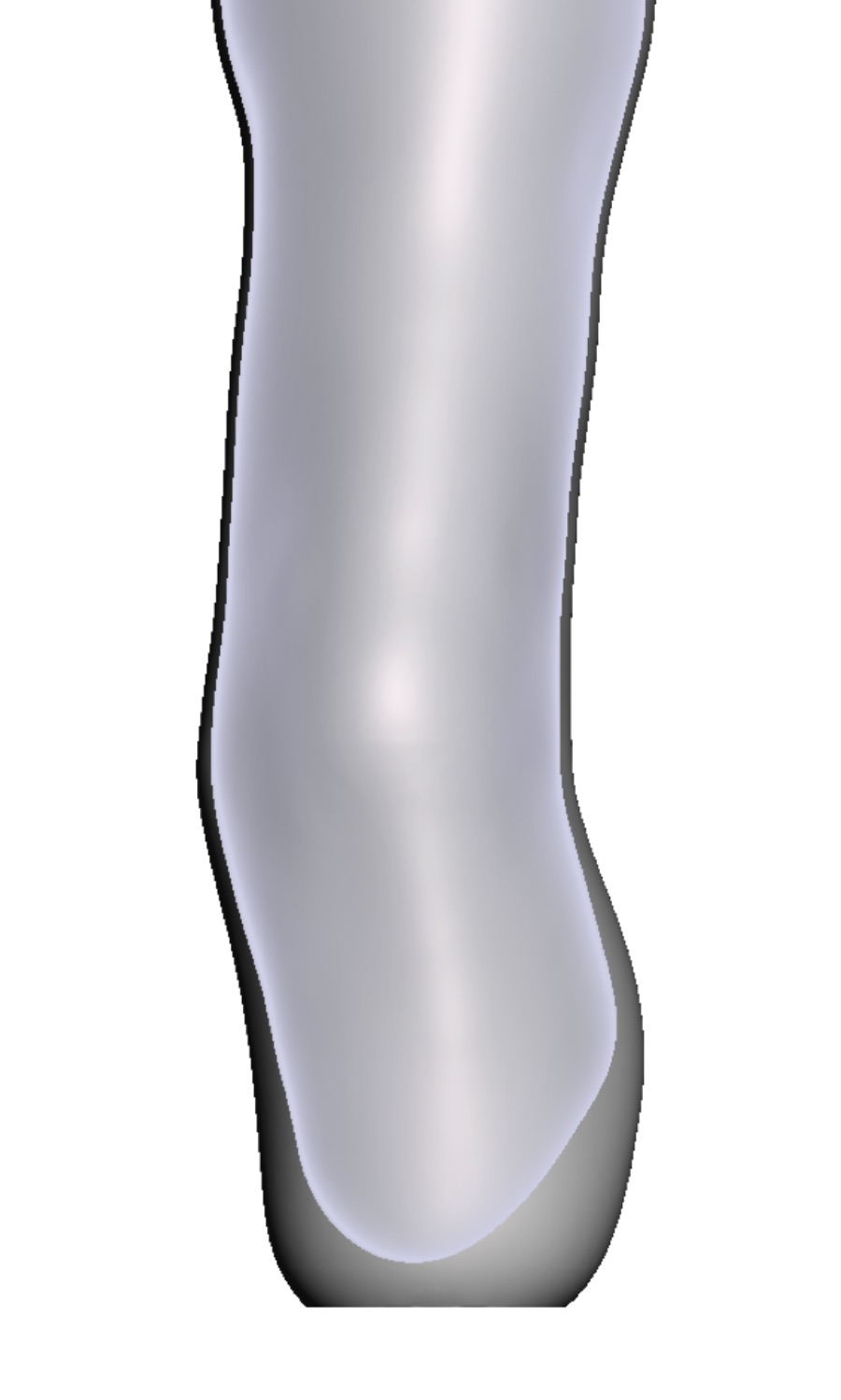 Prominent Fibula &mdash; 3D Model