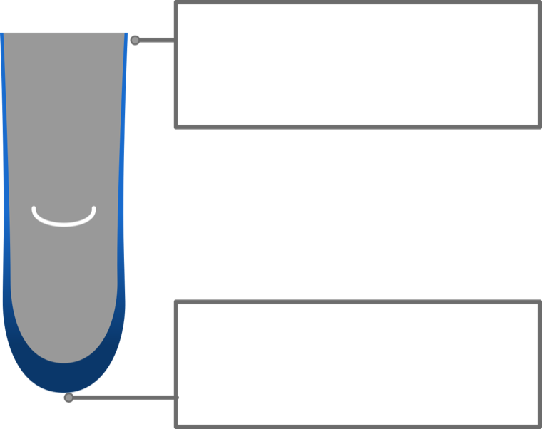 Liner cross-section: thin at the proximal end, thick at the distal end