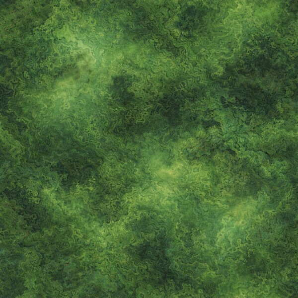 Agate Moss