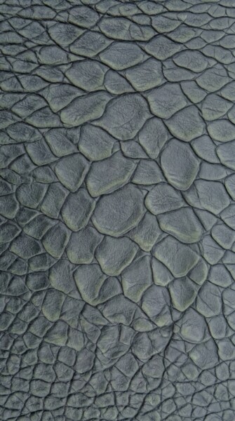 Dragon skin