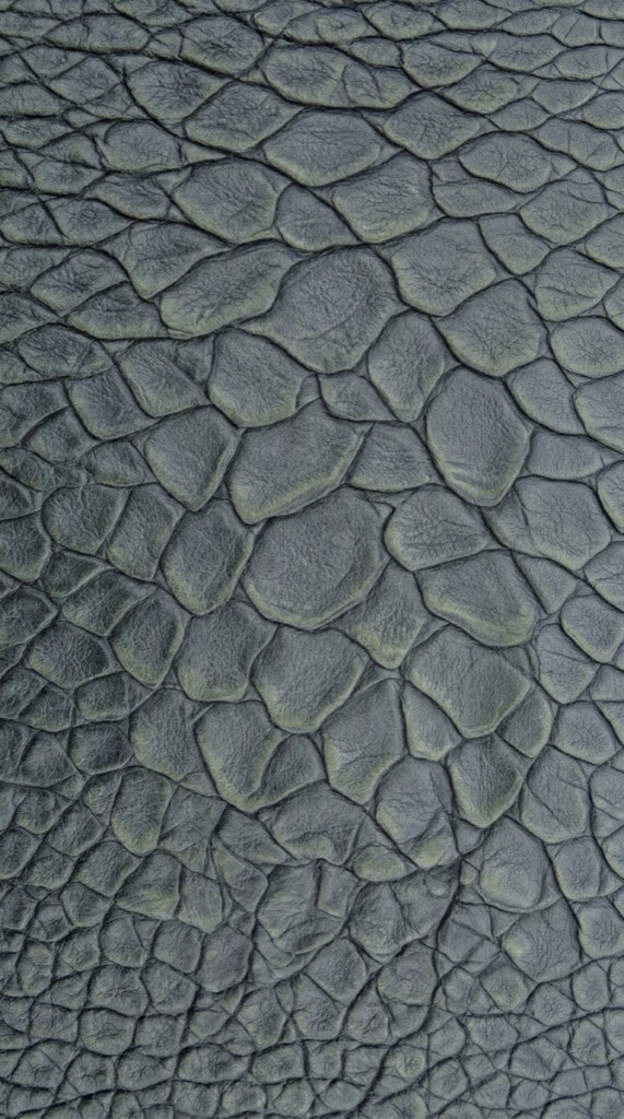Dragon skin
