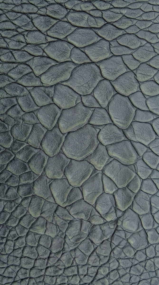 Dragon skin