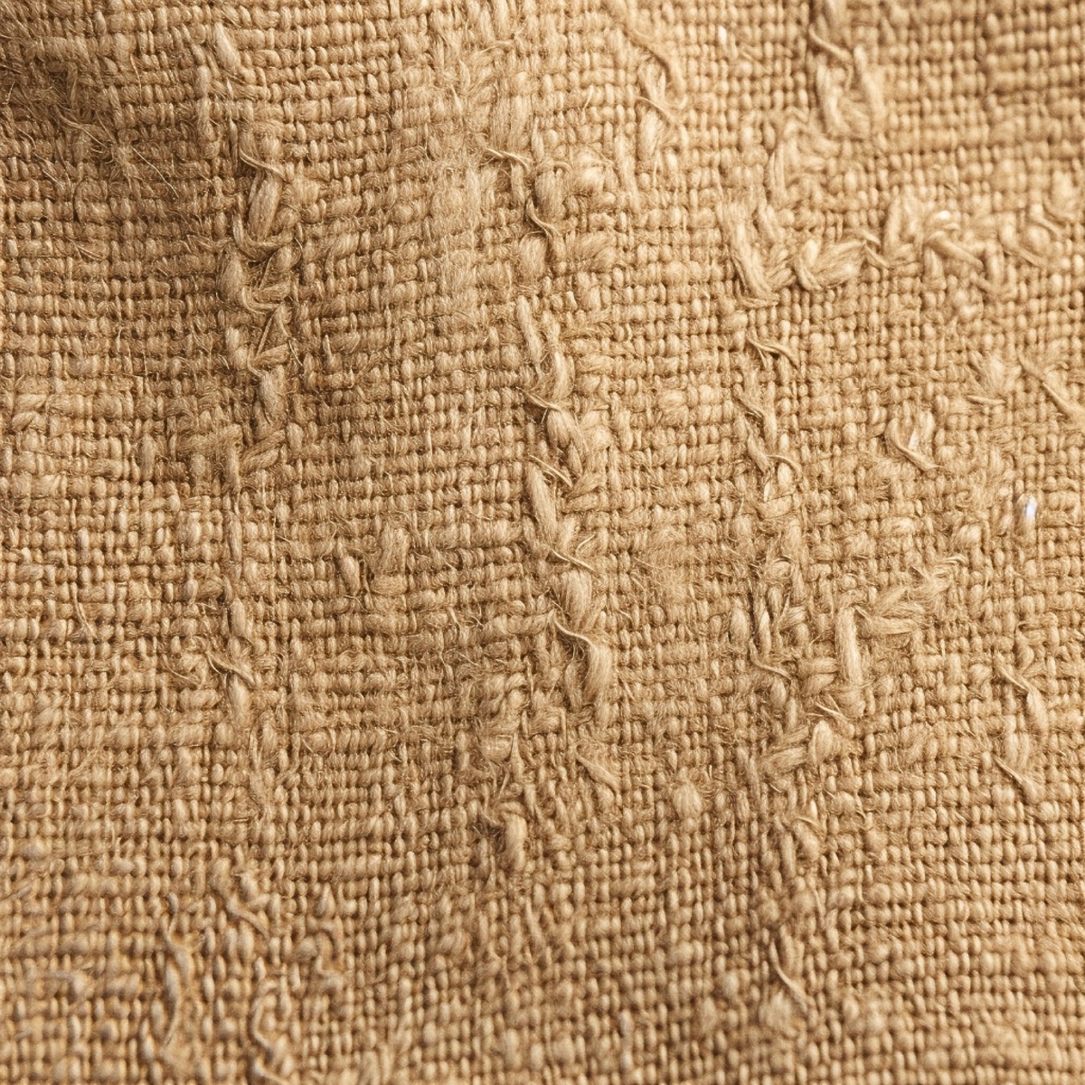 Hemp