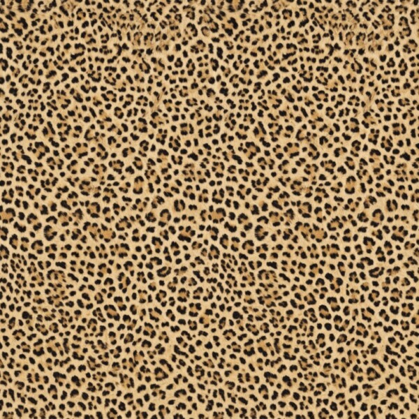 Leopard skin