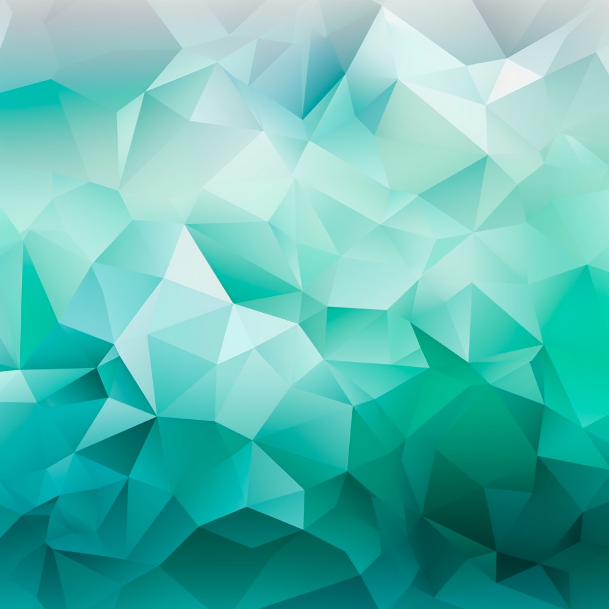 Polygon Sheet