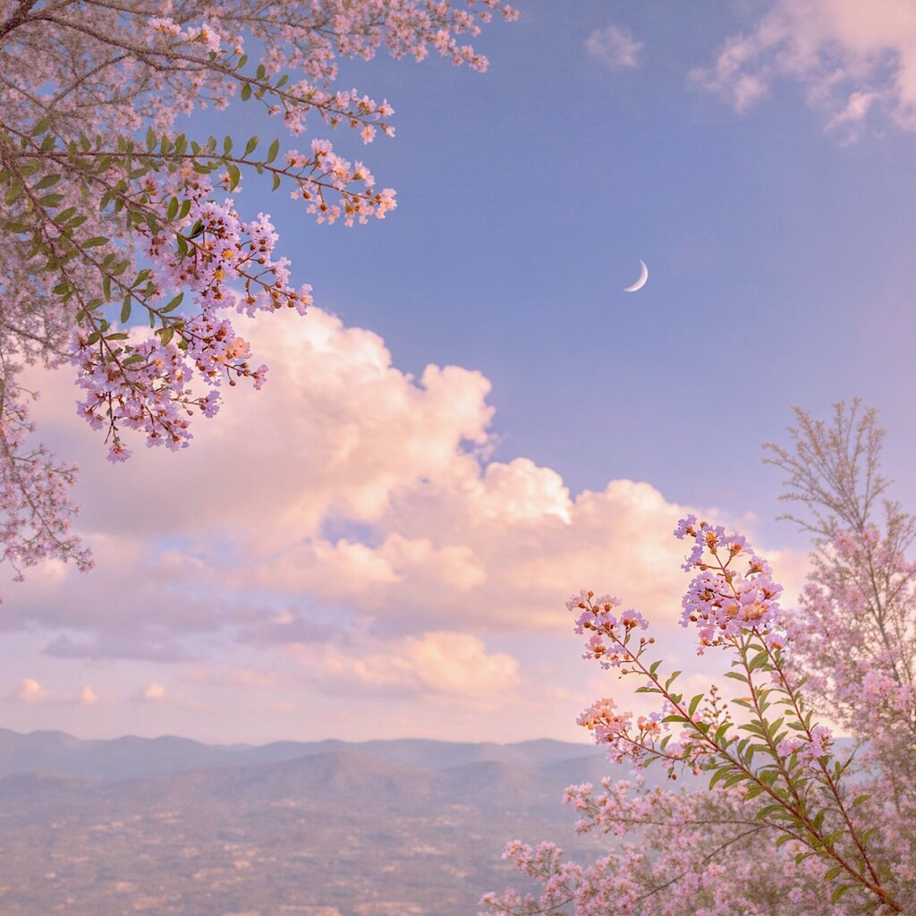 Skyflower